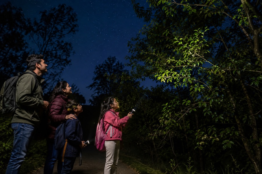 Family Night Nature Tours: Exploring the Wonders of Nature After Dark
